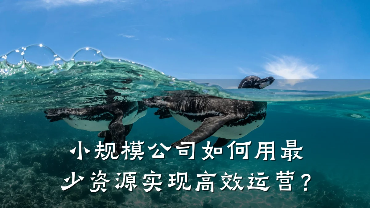 小规模公司如何用最少资源实现高效运营?