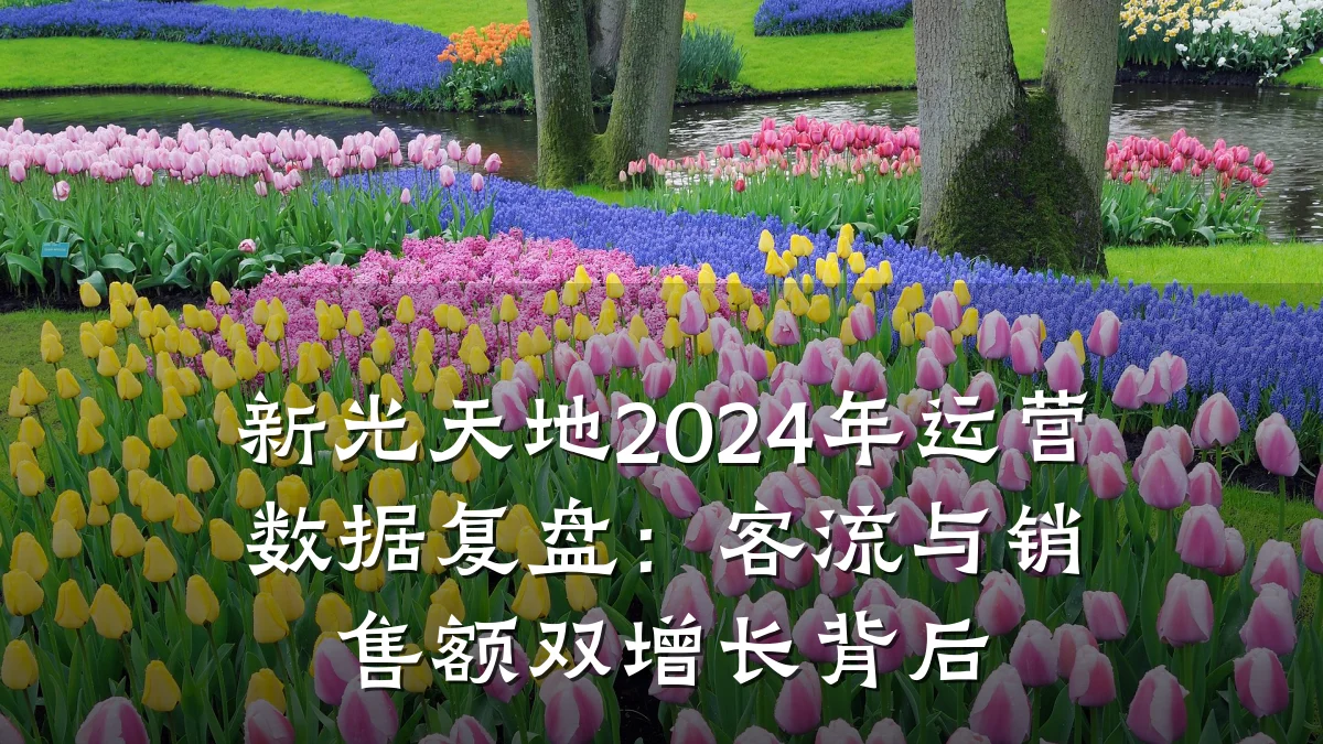 新光天地2024年运营数据复盘:客流与销售额双增长背后