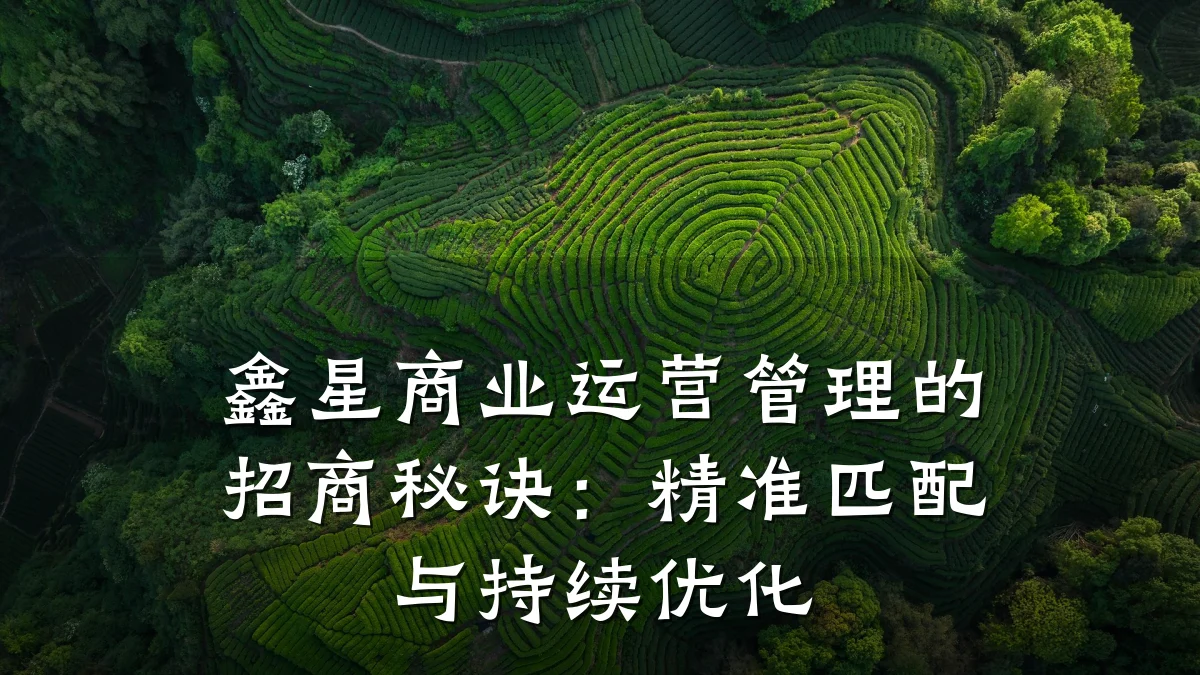 鑫星商业运营管理的招商秘诀:精准匹配与持续优化