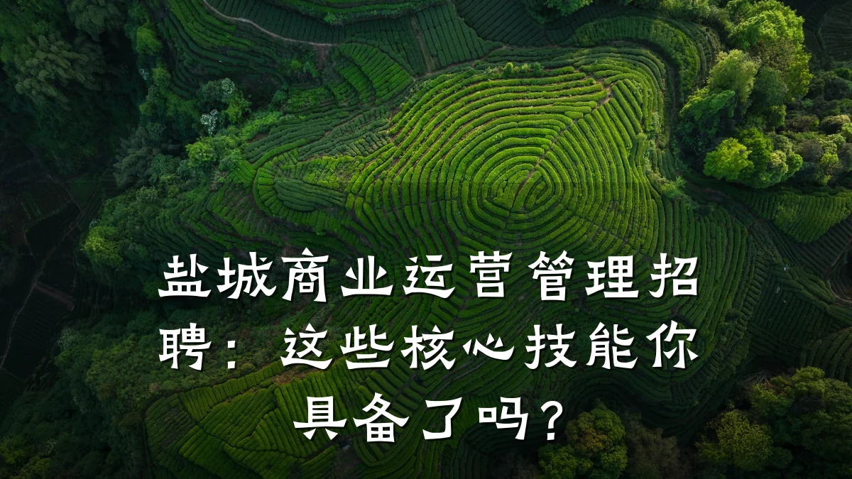 盐城商业运营管理招聘:这些核心技能你具备了吗?