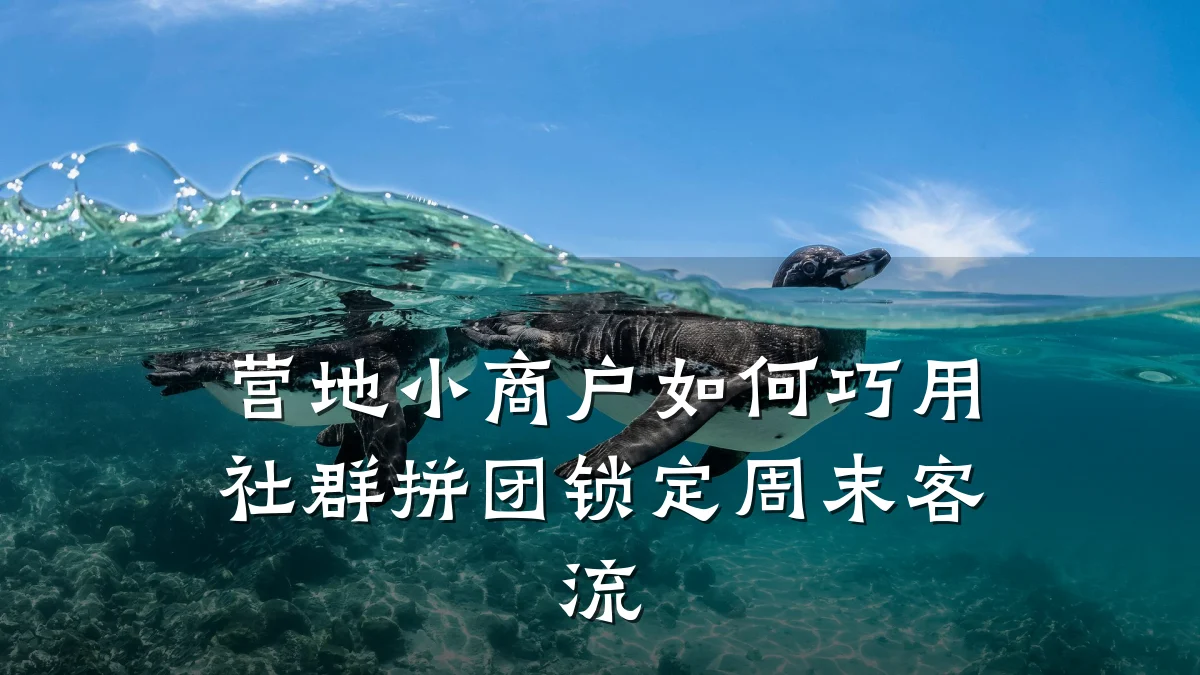 营地小商户如何巧用社群拼团锁定周末客流