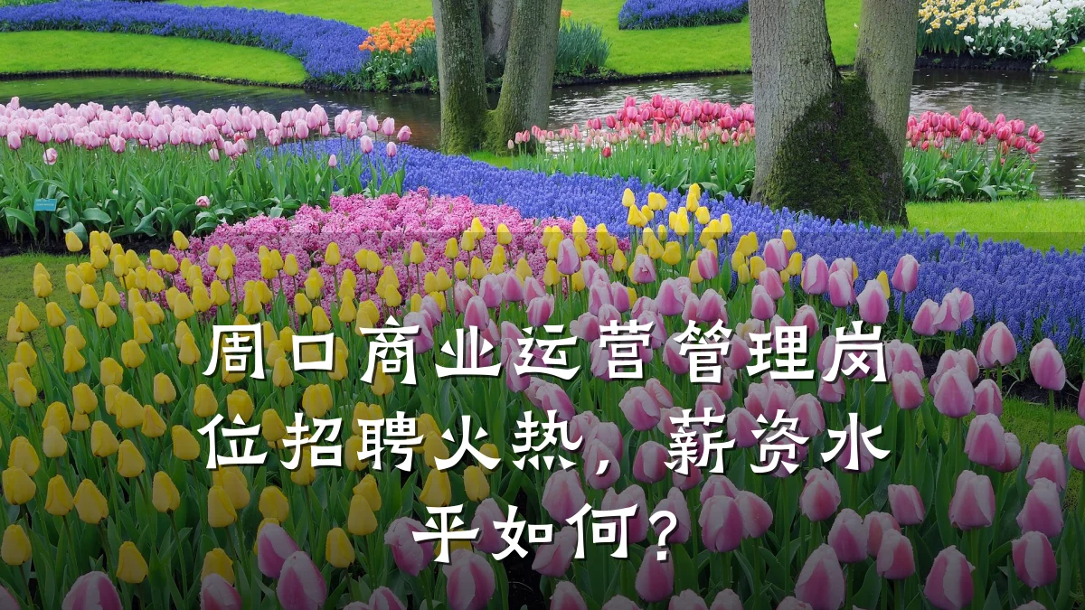 周口商业运营管理岗位招聘火热,薪资水平如何?