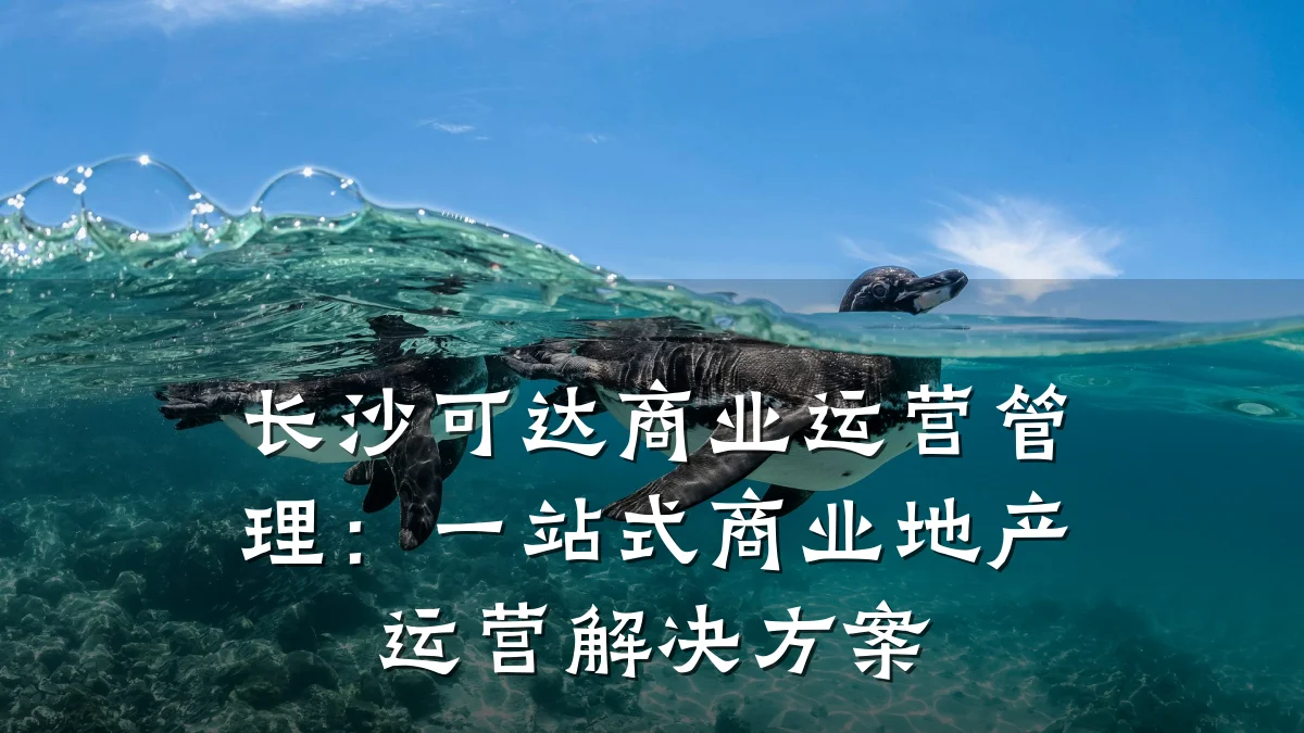 长沙可达商业运营管理:一站式商业地产运营解决方案