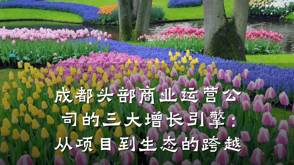 成都头部商业运营公司的三大增长引擎:从项目到生态的跨越