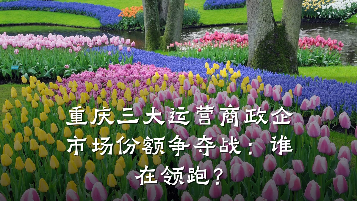 重庆三大运营商政企市场份额争夺战:谁在领跑?