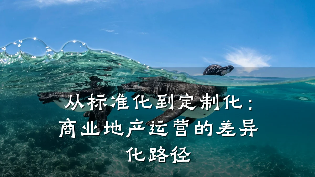 从标准化到定制化:商业地产运营的差异化路径