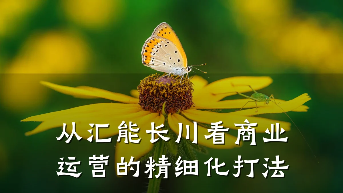 从汇能长川看商业运营的精细化打法