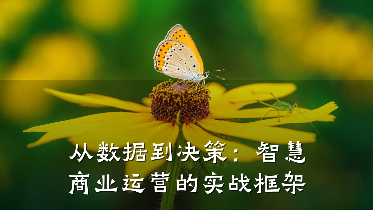 从数据到决策:智慧商业运营的实战框架