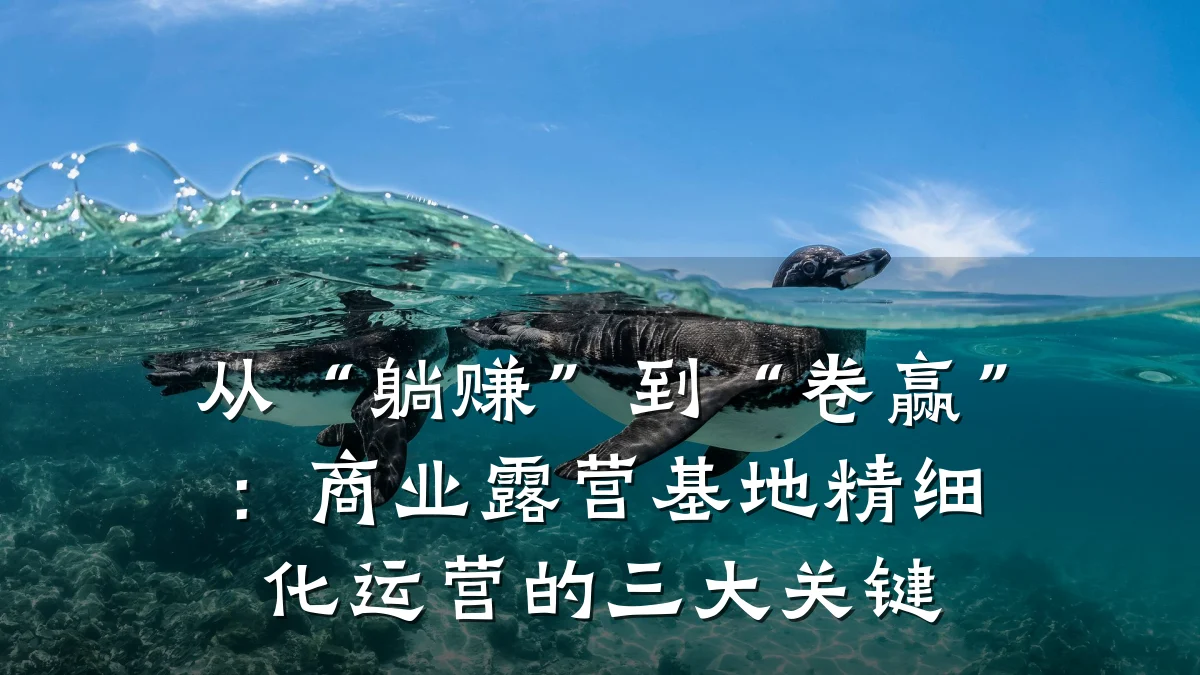 从“躺赚”到“卷赢”:商业露营基地精细化运营的三大关键
