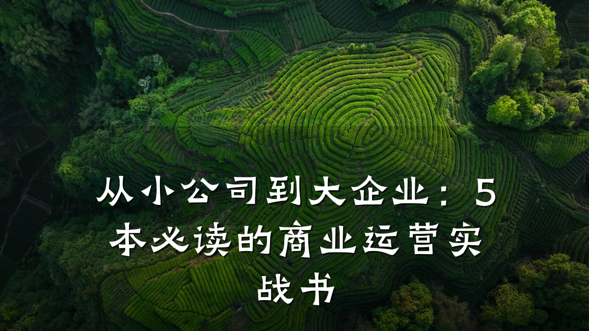 从小公司到大企业：5本必读的商业运营实战书