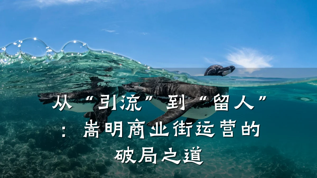 从“引流”到“留人”：嵩明商业街运营的破局之道