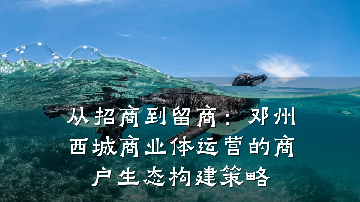 从招商到留商:邓州西城商业体运营的商户生态构建策略