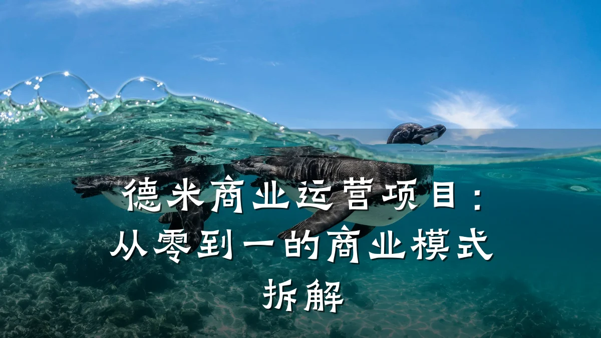 德米商业运营项目：从零到一的商业模式拆解