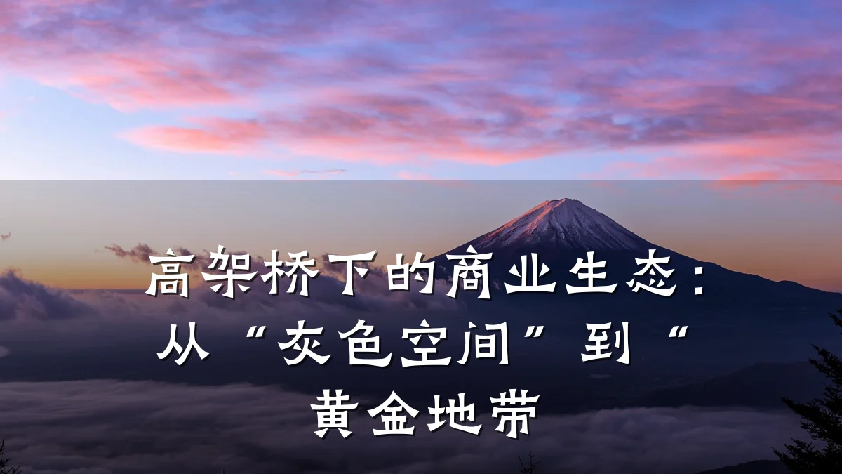 高架桥下的商业生态:从“灰色空间”到“黄金地带
