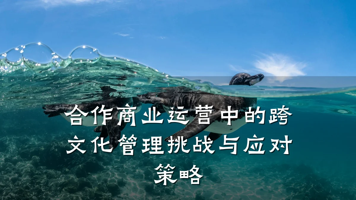 合作商业运营中的跨文化管理挑战与应对策略