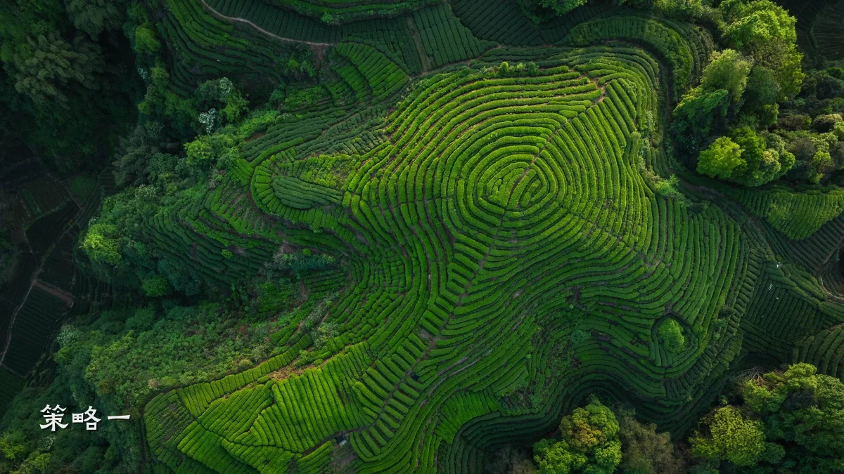 策略一