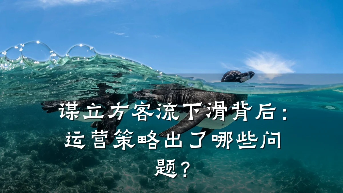 谋立方客流下滑背后:运营策略出了哪些问题?