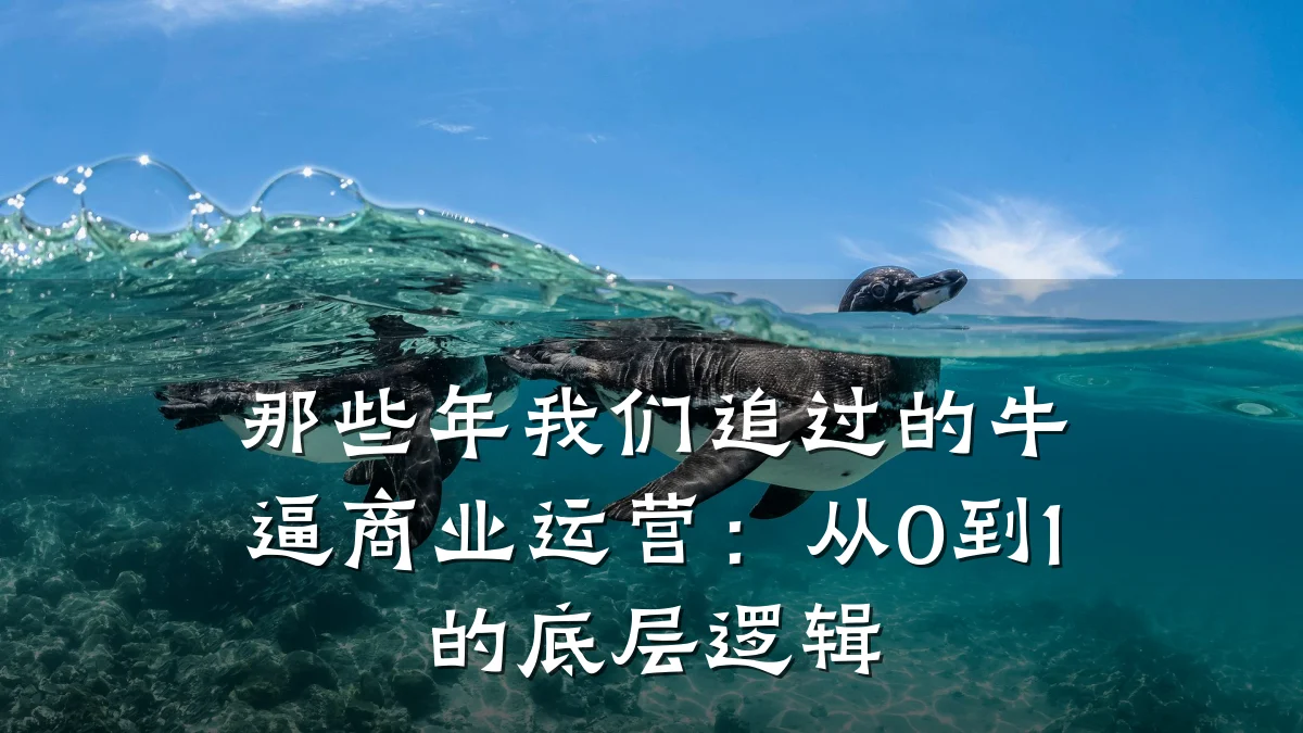 那些年我们追过的牛逼商业运营:从0到1的底层逻辑