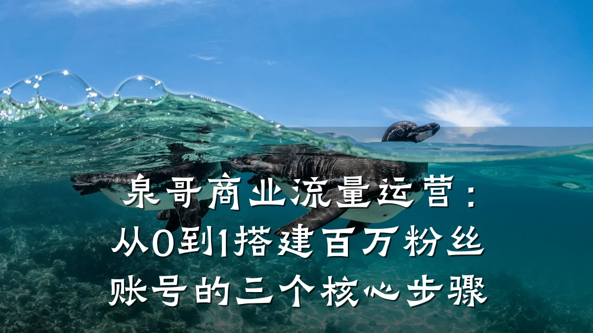 泉哥商业流量运营:从0到1搭建百万粉丝账号的三个核心步骤