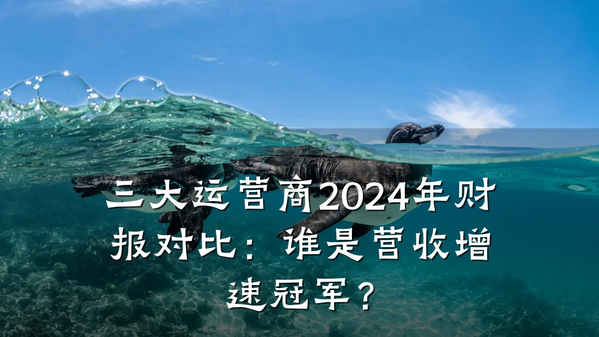 三大运营商2024年财报对比：谁是营收增速冠军？