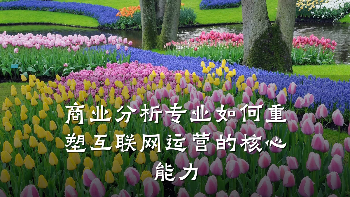 商业分析专业如何重塑互联网运营的核心能力