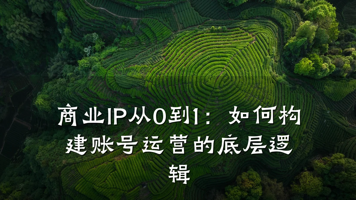 商业IP从0到1:如何构建账号运营的底层逻辑