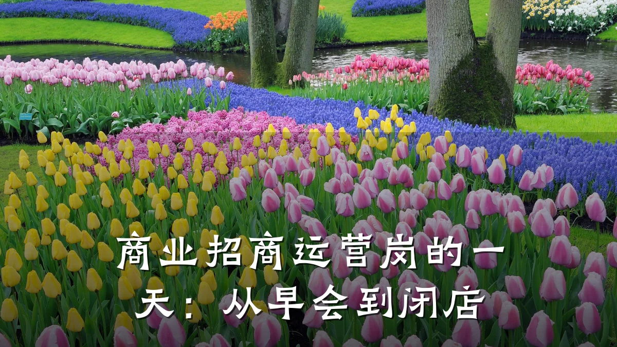 商业招商运营岗的一天：从早会到闭店