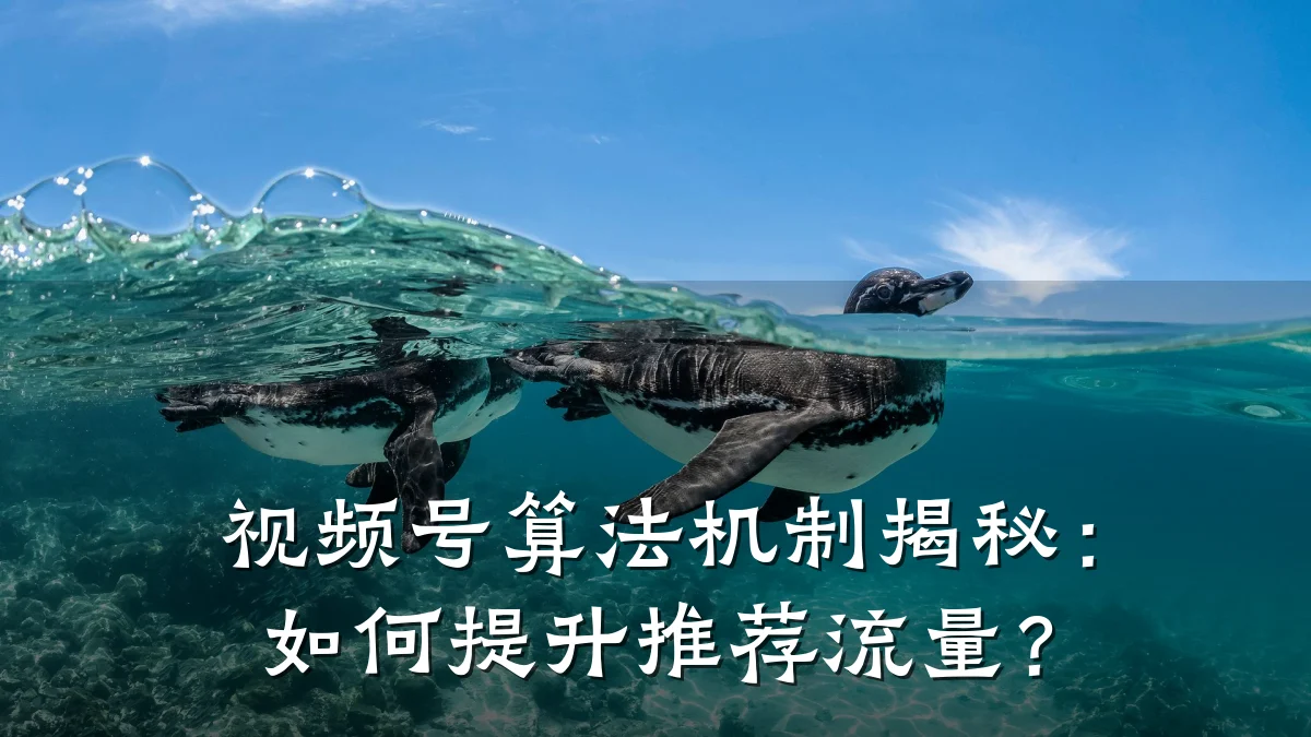 视频号算法机制揭秘:如何提升推荐流量?