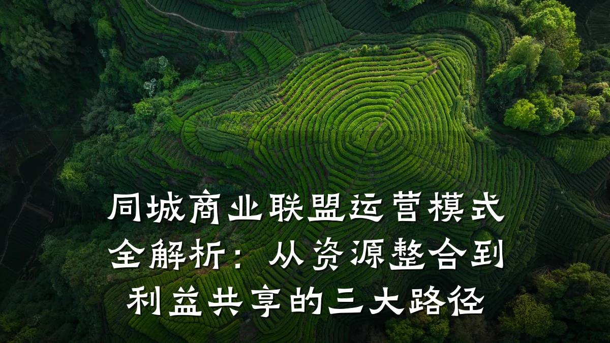 同城商业联盟运营模式全解析:从资源整合到利益共享的三大路径