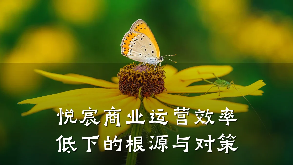 悦宸商业运营效率低下的根源与对策