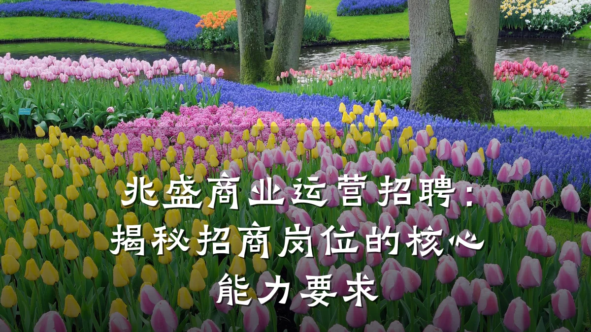 兆盛商业运营招聘:揭秘招商岗位的核心能力要求