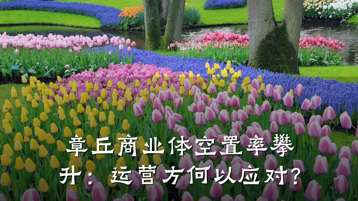 章丘商业体空置率攀升:运营方何以应对?