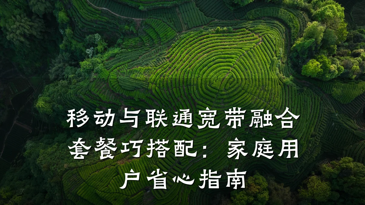移动与联通宽带融合套餐巧搭配:家庭用户省心指南