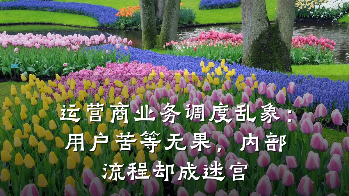 运营商业务调度乱象:用户苦等无果,内部流程却成迷宫