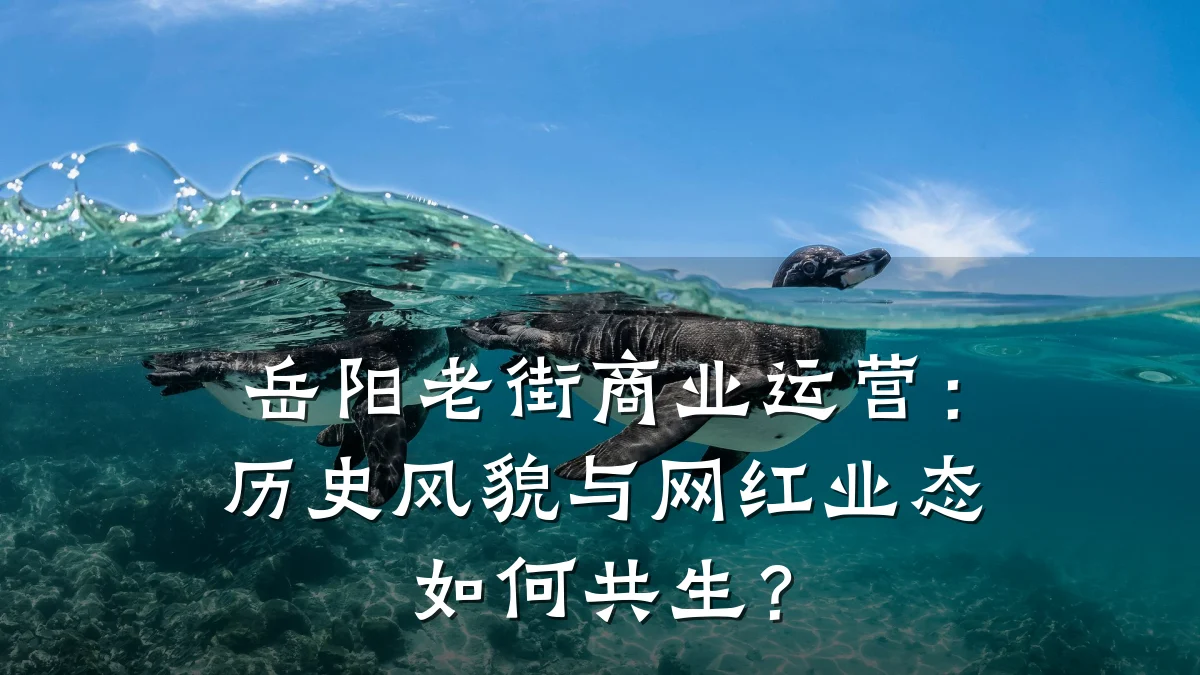 岳阳老街商业运营:历史风貌与网红业态如何共生?